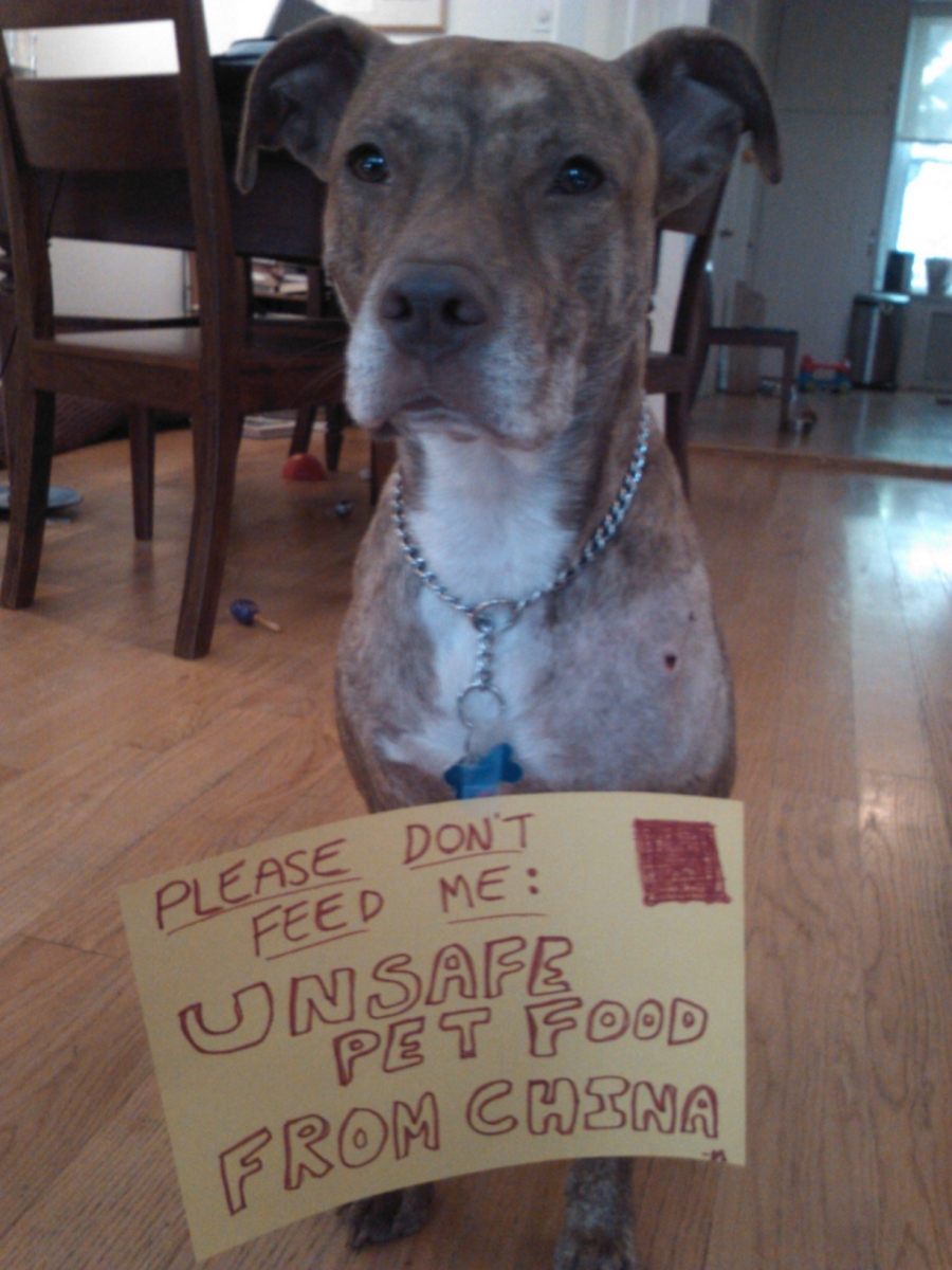 Unsafe Pet Food from China Prompts "Black Friday" Protests at