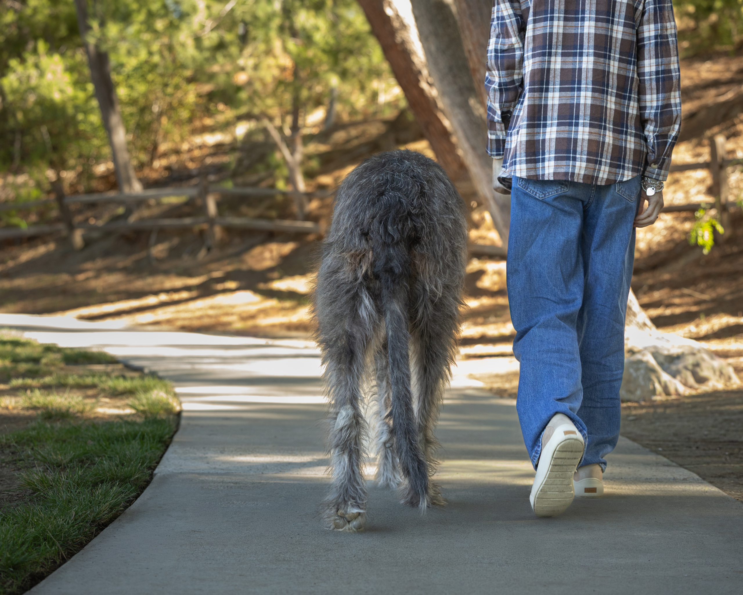 Why Buying American-made Pet Food and Toys Matters