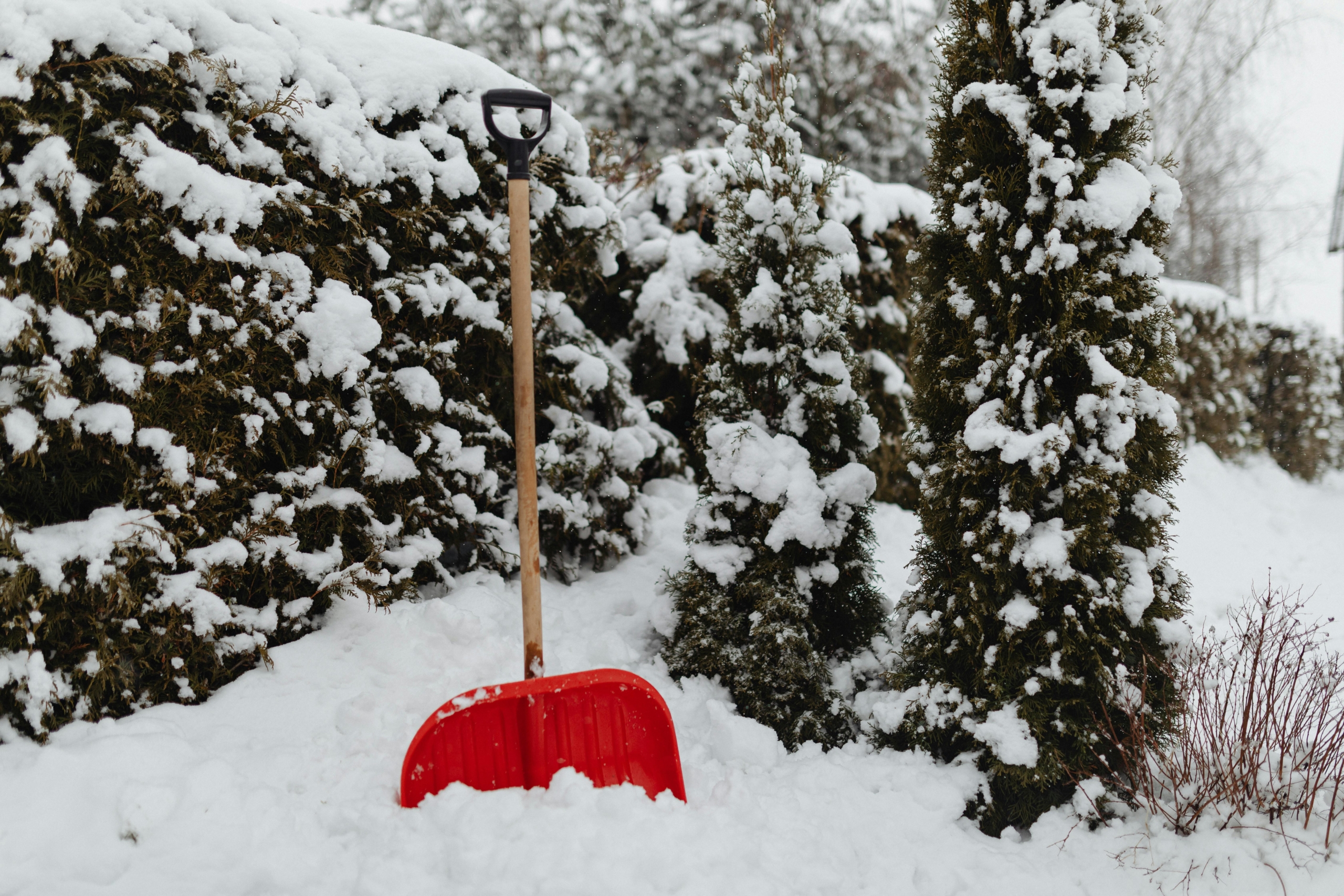 Don’t Let the Next Blizzard Catch You Unprepared