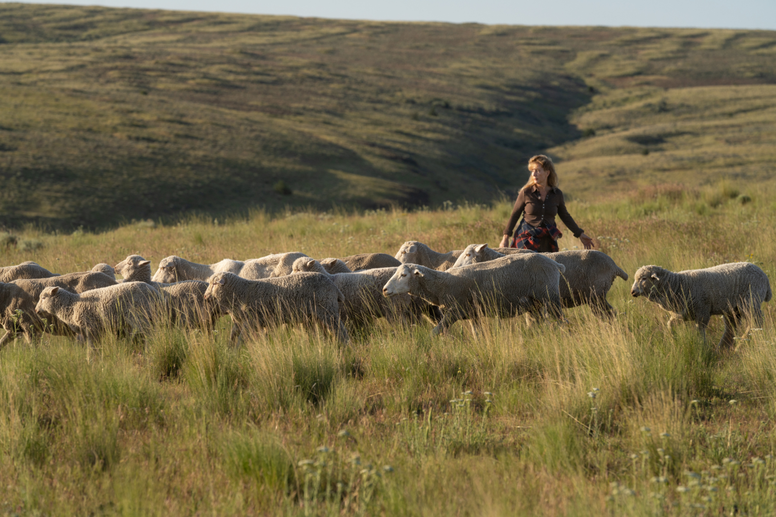 This Sheep Farming Collective is Where Team USA's Olympic Apparel ...