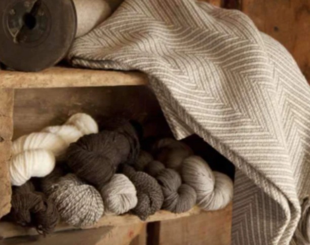 Where Raw Wool Becomes Finished Garments