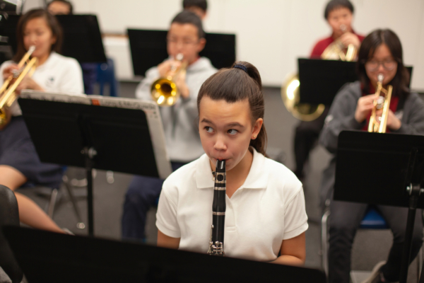 From Clarinets to Trombones: Discovering Musical Instruments Still Made ...